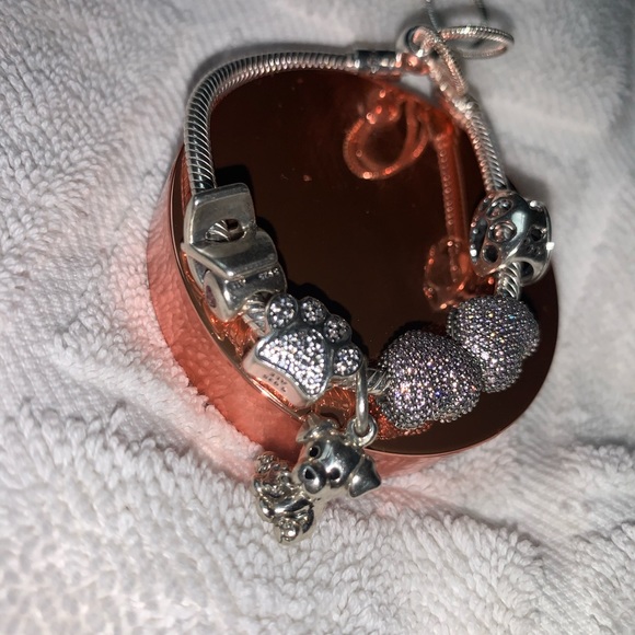 Pandora Bracelet - Picture 7 of 11